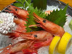 -晶吉·居酒屋·日本料理·烧鸟(中山区民主广场经典生活店)