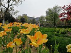 -江南大学(蠡湖校区)