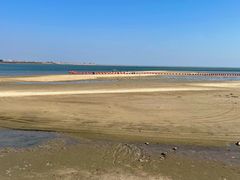 -北海金海湾红树林生态旅游区