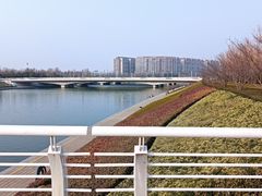 -郑东新区湿地公园