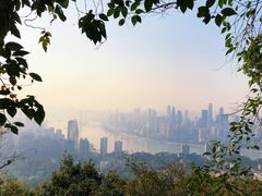 -南山植物园