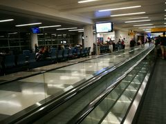 -约翰·菲茨杰拉德·肯尼迪国际机场