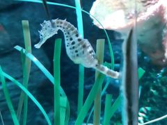 -沈阳海洋探索中心