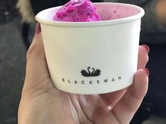 -BLACKSWAN黑天鹅(环球店)