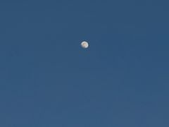 -白老三牛肉丸子面(平阳广场店)