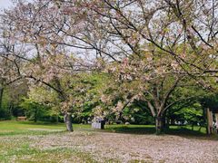 -凤凰沟景区