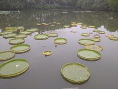 -西湖游船