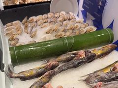 -星伦多自助料理(花山金鹰店)