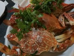 -Onion restaurant