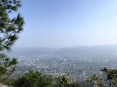 -缙云山景区