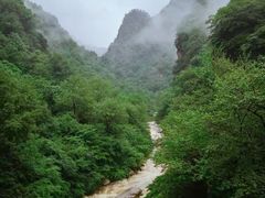 -青峰峡国家森林公园