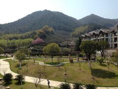 webwxgetmsgimg-余姚阳明温泉山庄