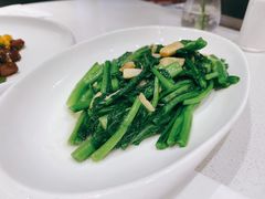 菜心-潮州府·潮菜·砂锅粥(徐家汇店)