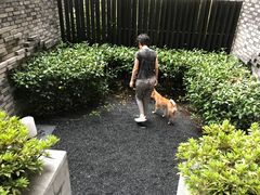 -上海崇明金茂凯悦酒店