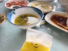 -上海都市菜园