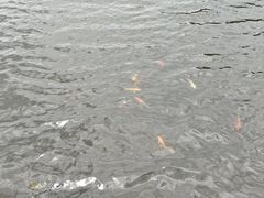 -三水森林公园
