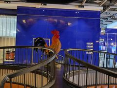 -沿江海南菜·文昌鸡祖师爷(大东海店)