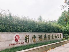 -重庆彩云湖湿地公园