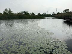 -嘉北郊野公园