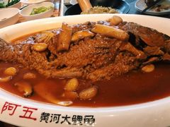 -阿五黄河大鲤鱼(英协路店)