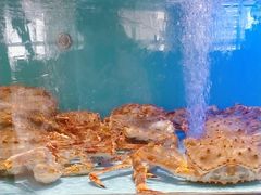 -阿伟海鲜楼·福建菜(延寿店)