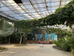 -北京植物园-展览温室