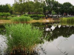 -永定河休闲森林公园