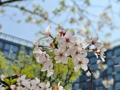 -新天地活力PARK