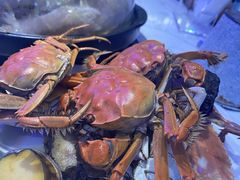 -半岛听涛蒸汽海鲜自助(K11店)