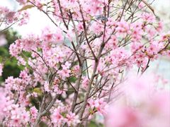 -文华公园(禅城区)