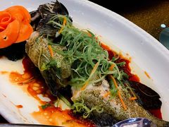 蒸鱼-新君凯酒家