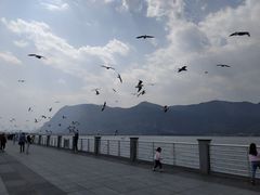 -滇池海埂公园