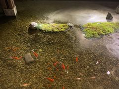 -几荷·恰似故人来(秀水广场店)
