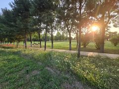 -汉长安城未央宫国家考古遗址公园