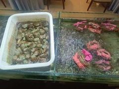 -金龙渔港(双楠店)