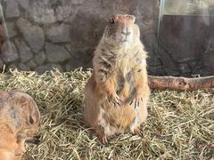 -海合安武汉极地海洋公园