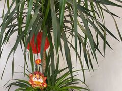 -雲己推拿院·养生SPA(江北龙湖天街店)