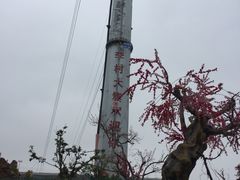-李村大集