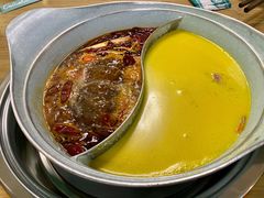 -青瓷火锅料理(西单大悦城店)