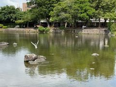 -水前寺成趣园