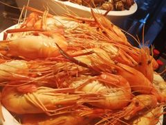 罗氏虾-广州富力君悦大酒店·凯菲厅