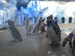 -常州海昌海洋探索馆