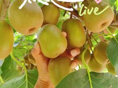 -李东农庄·当地安吉味(中南百草园店)