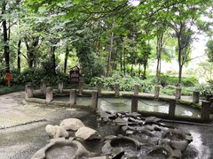 -成都市活水公园
