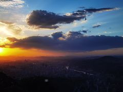 -兰山公园