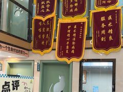 -半岛宠物医院24小时·内窥镜·牙科·碎石中心(府城大道店)