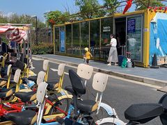 -春花秋色城市公园