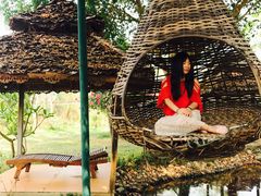 -黄色小屋