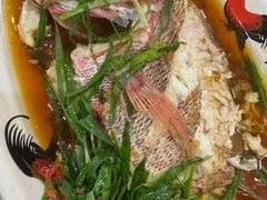 -潮汕铺老店(甜水井店)