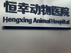 -恒幸动物医院·急重症转诊中心·神经内外科·CT核磁